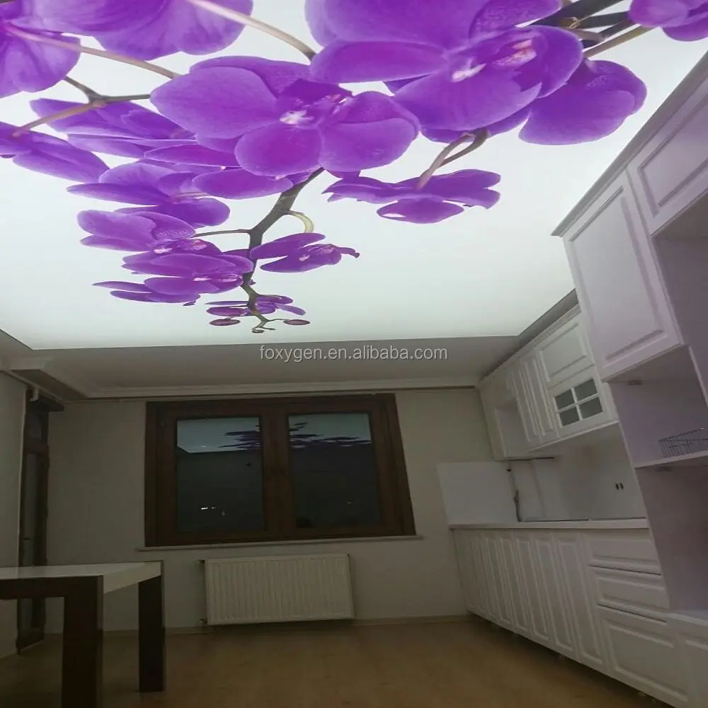 stretchceiling (3)