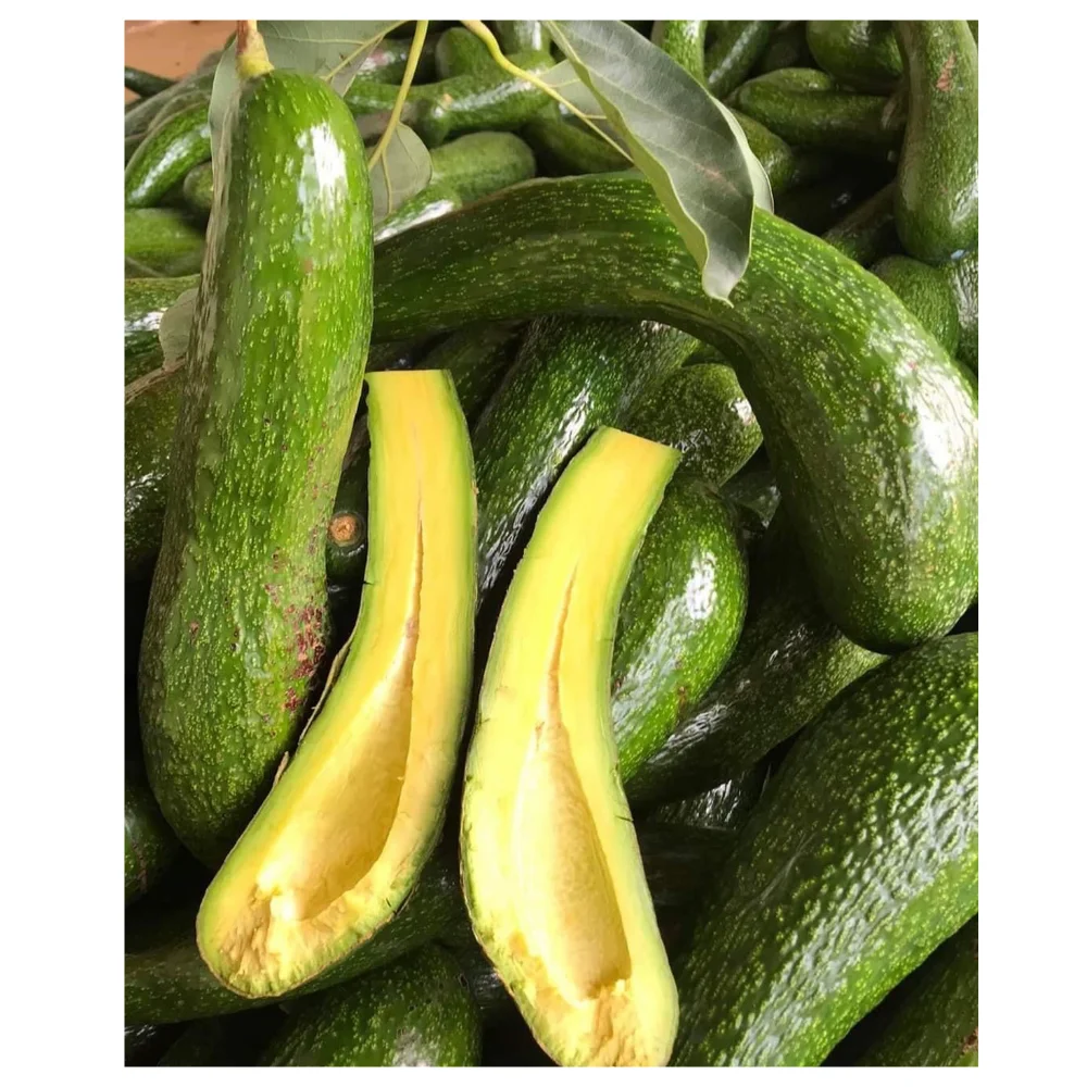 
EXPORTING FRESH 034 VARIETY FROM VIETNAM 