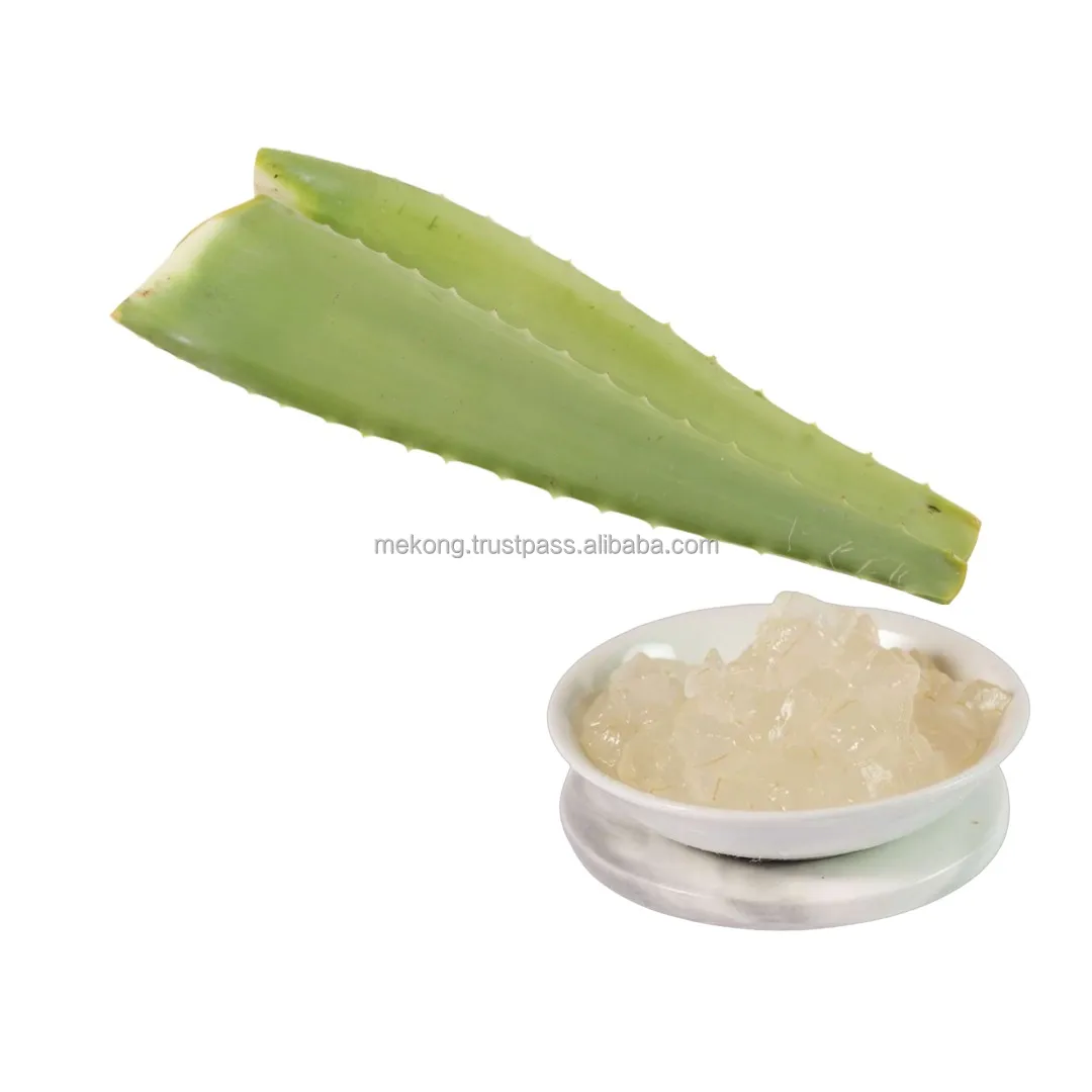 Wholesale Cheap Nutritious Delicious Aloe Vera Cubes In Syrup For Drinks And Culinary Private Label Packaging Available