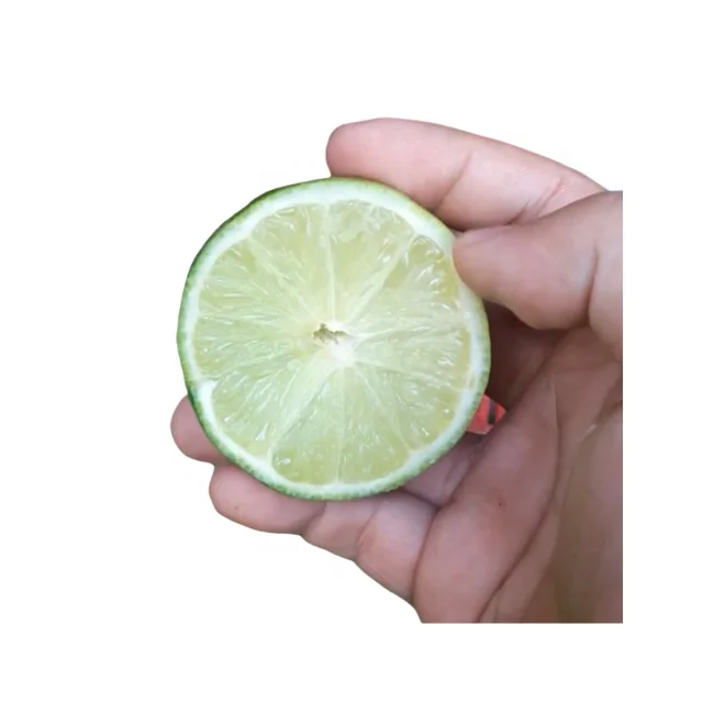 Organic Fresh SEEDLESS LIME / Wholesale GREEN LEMON / GREEN LEMON from Vietnam 100% High Quality Ready To Export Fresh Style