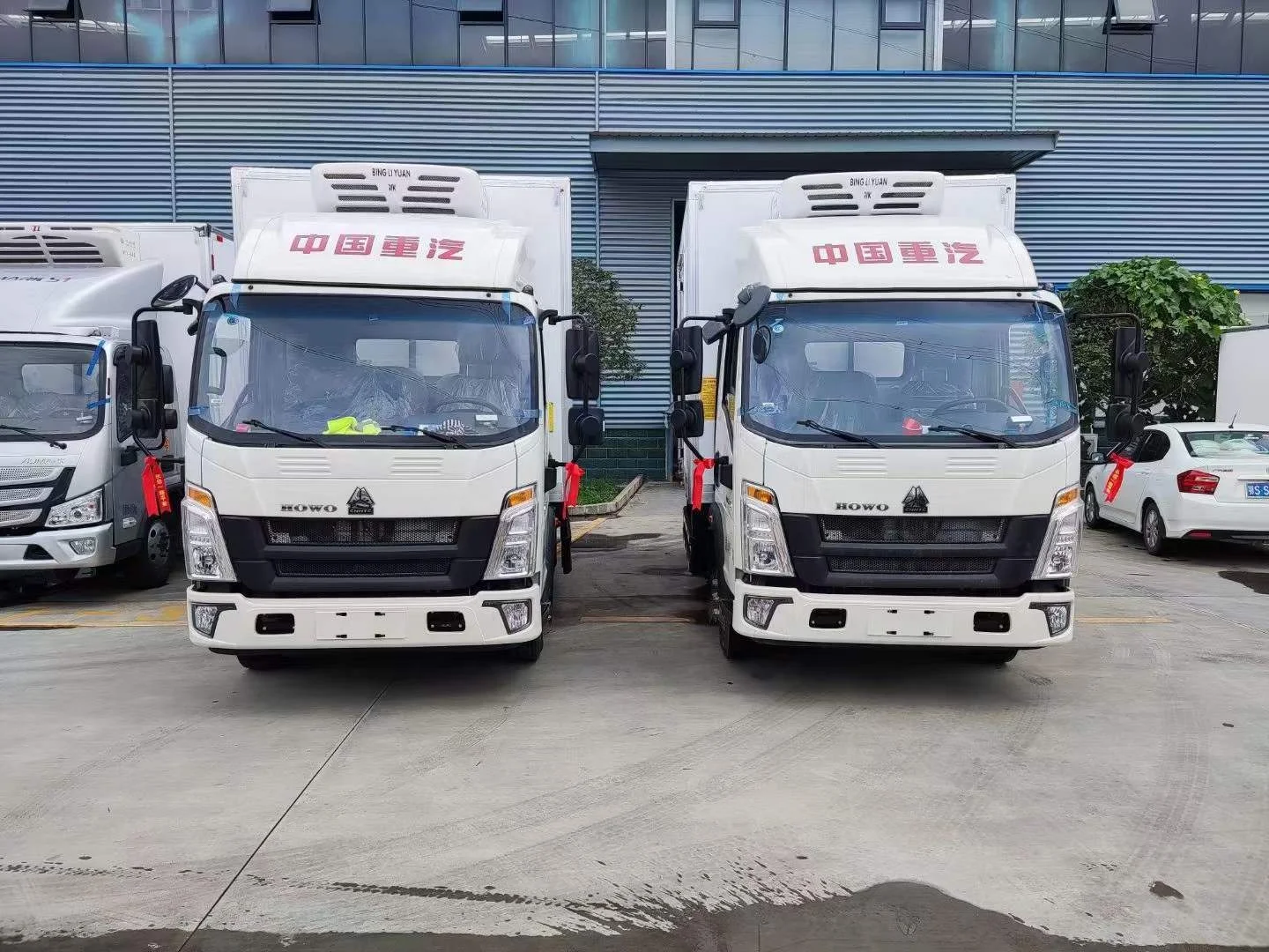 HOWO 4X2 5TON холодильник грузовик для продажи