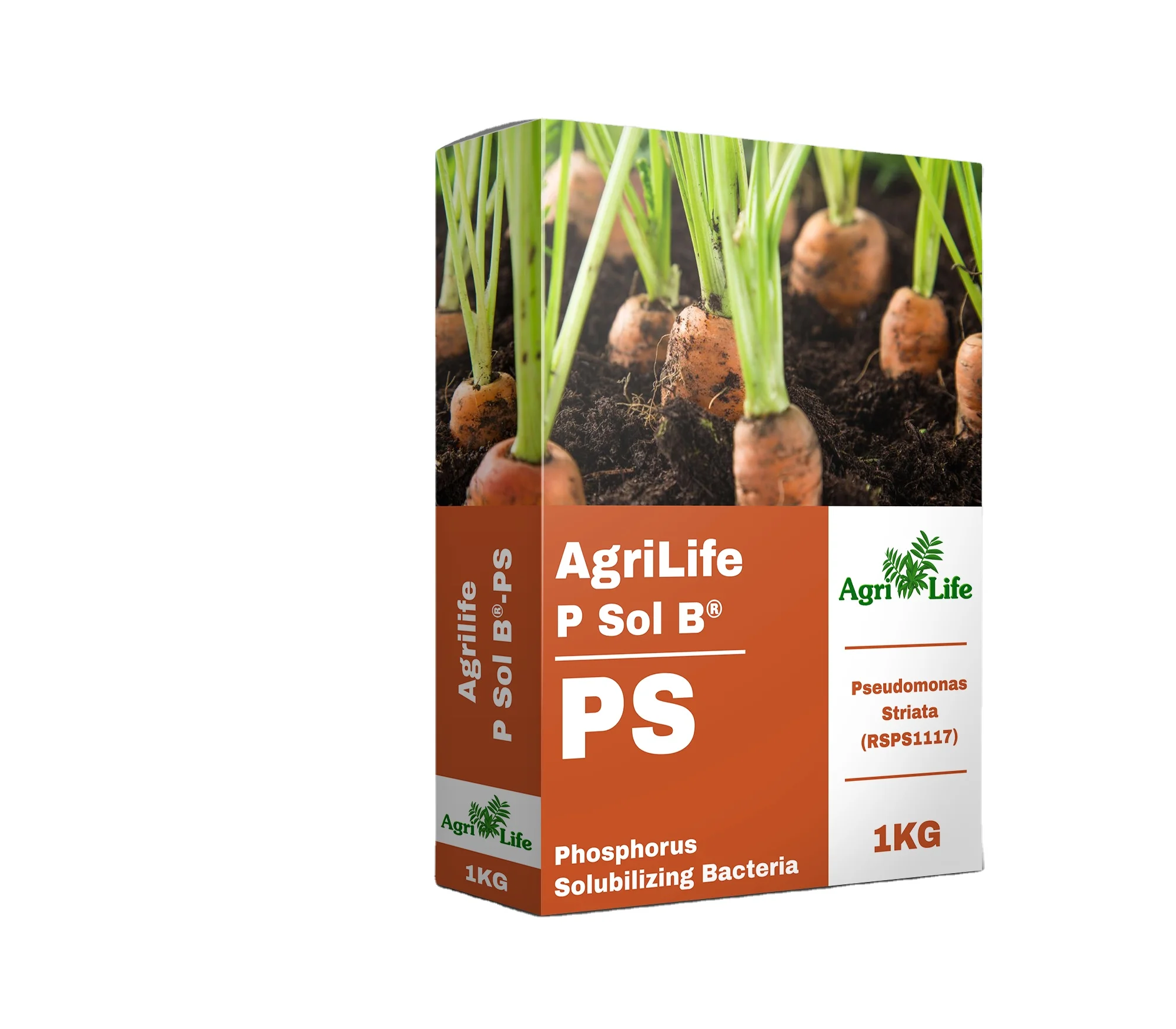 Powder Chemical Free Natural Phosphorus Bio Fertilizer Fertilizer For Fruits Vegetables Organic Fertilizer Phosphorus