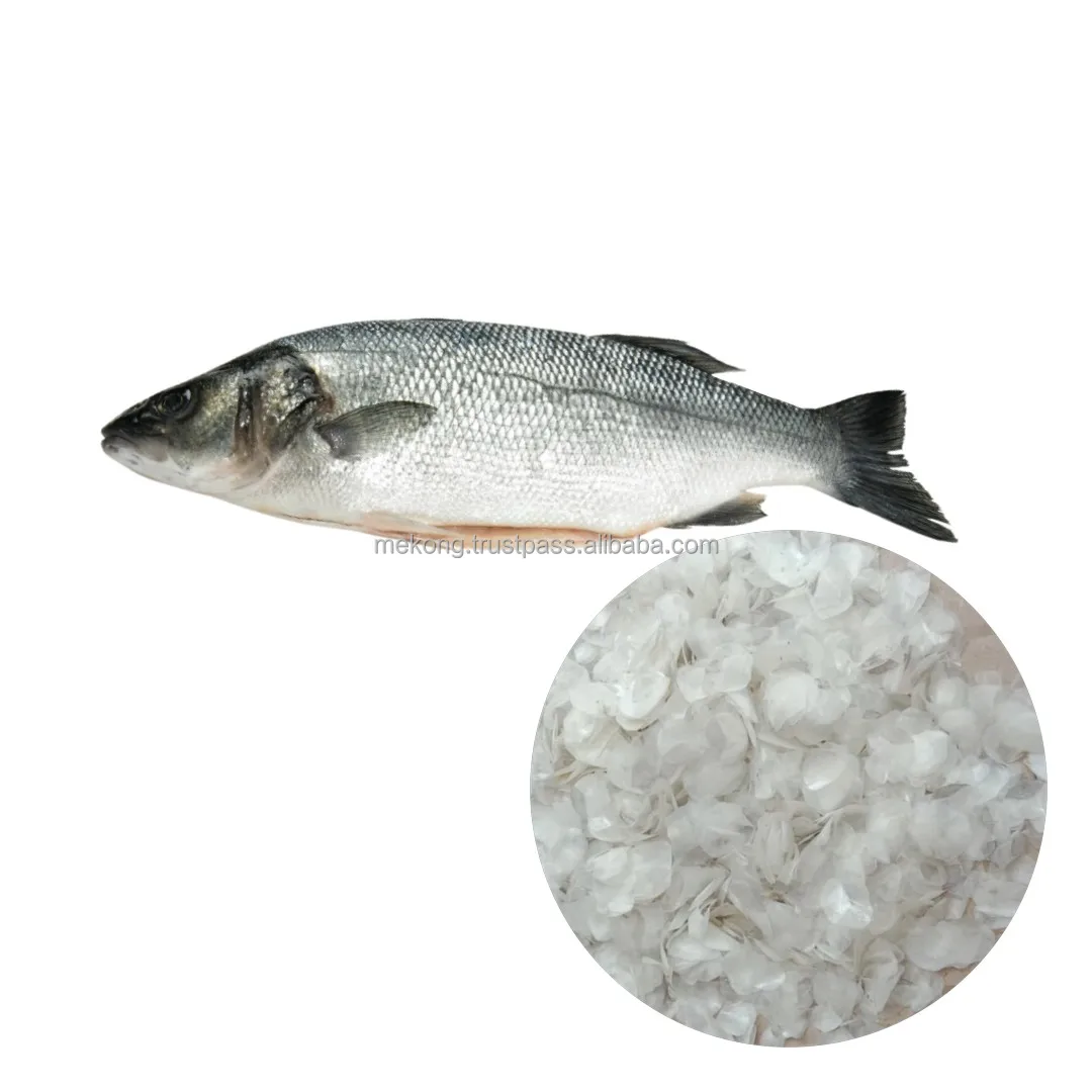 Wholesale Free Sample Size 1Cm Up Dried Decalcified Scale For Chitosan Production From Viet Nam