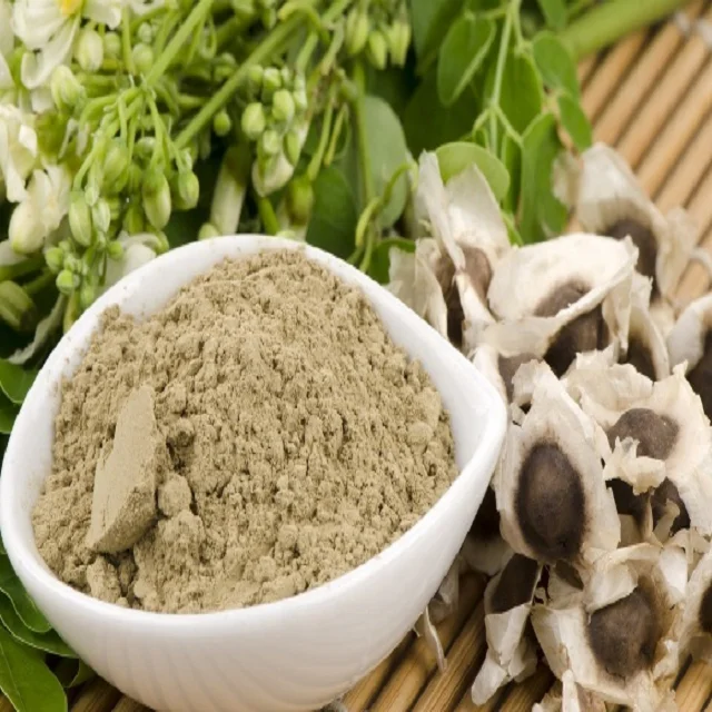 Top Quality moringa Powder Supplier from India