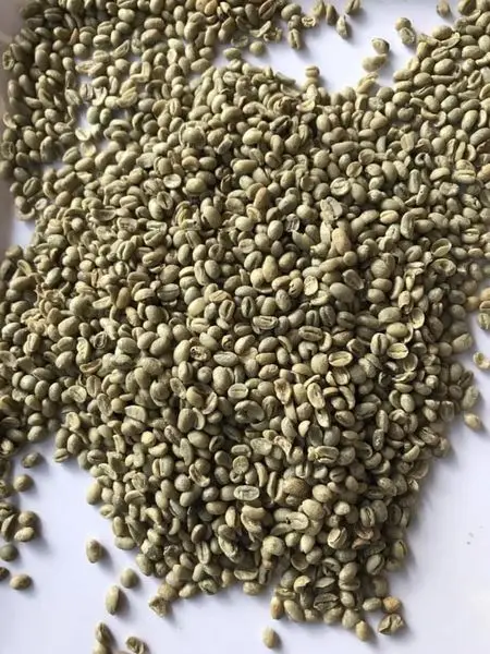 Robusta & Arabica зеленые кофейные зерна/Промытые Арабика зерна/жареные зерна