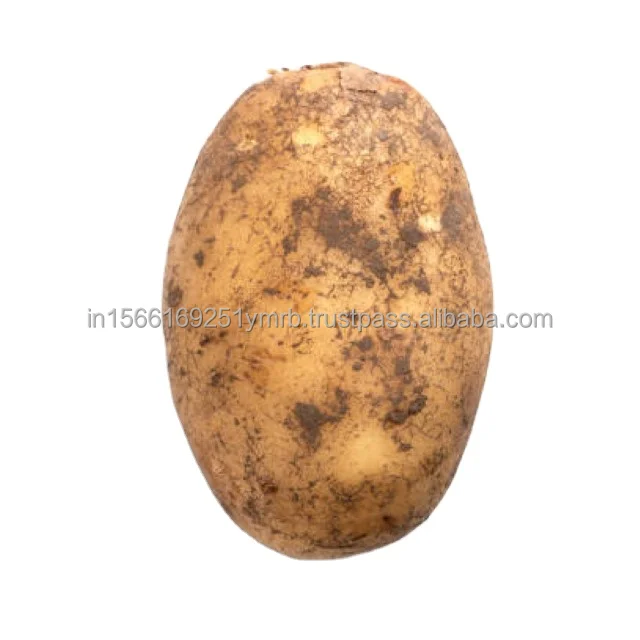 Vegetables Price Potato Fresh Potatoes Fresh Vegetable