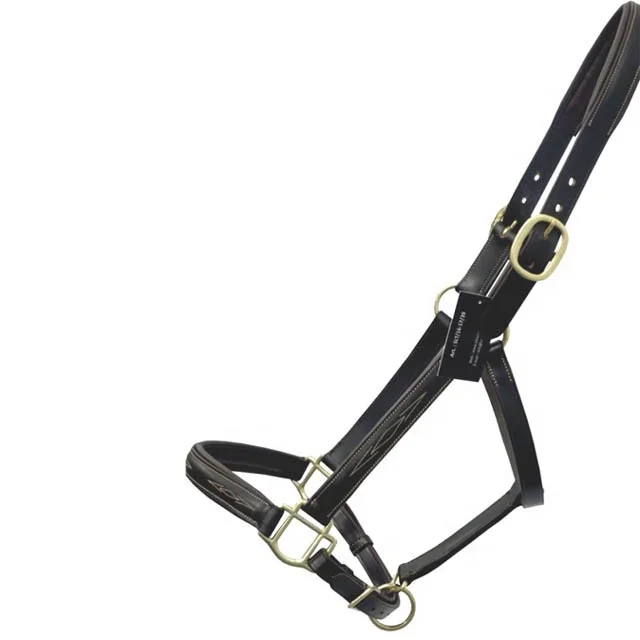 Cheap Leather Halter