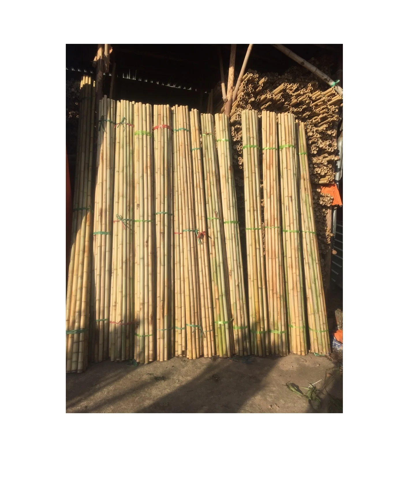 Top Polished Bamboo Poles Cane 40 to 50 mm Diameter by 4m Long for Structure Project Garden Home ( Whatsapp 0084587176063 Sandy)