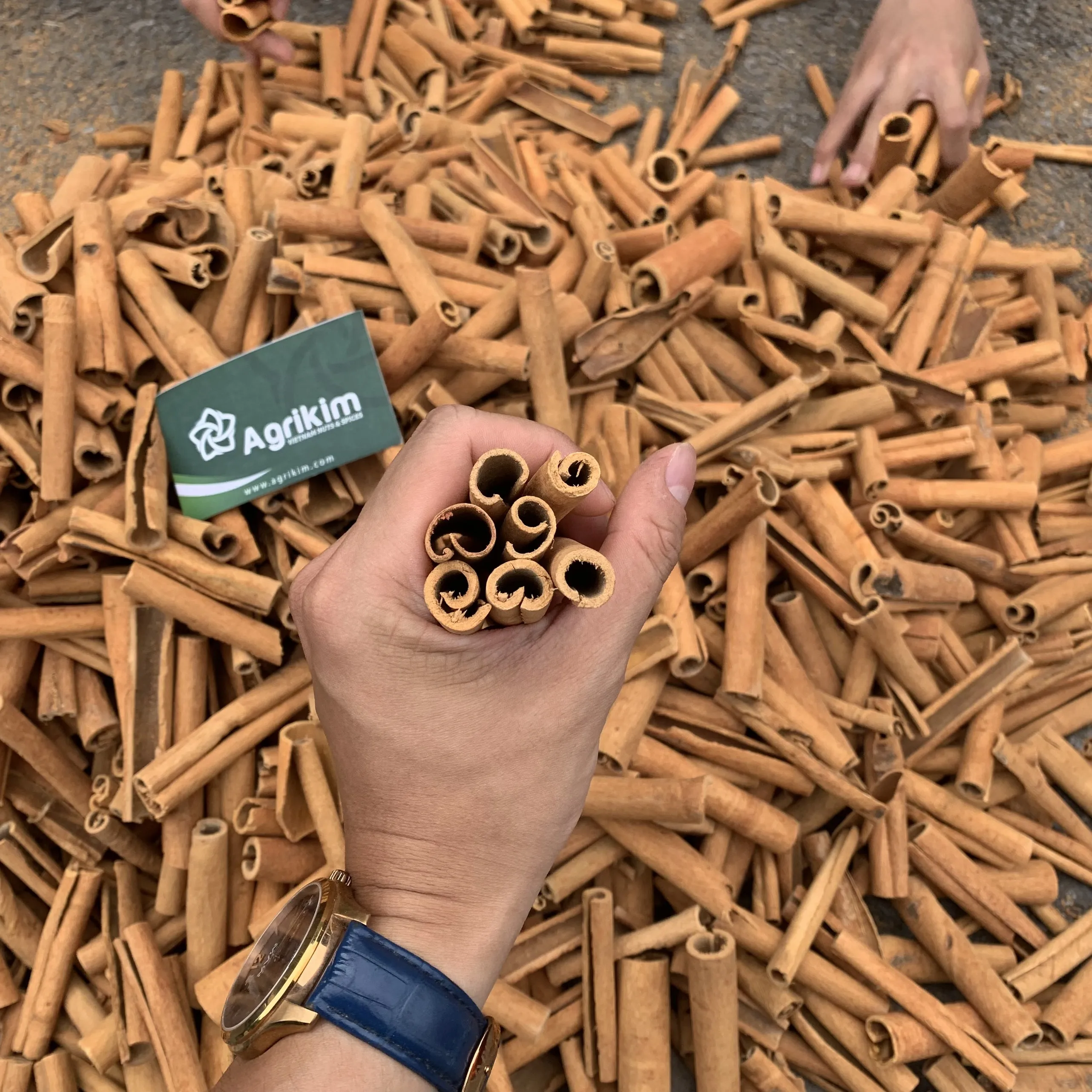 Wholesale Price Cinnamon Sticks Superior Quality new harvest Rich In Flavour Bulk Packaging Free Sample +84 326055616