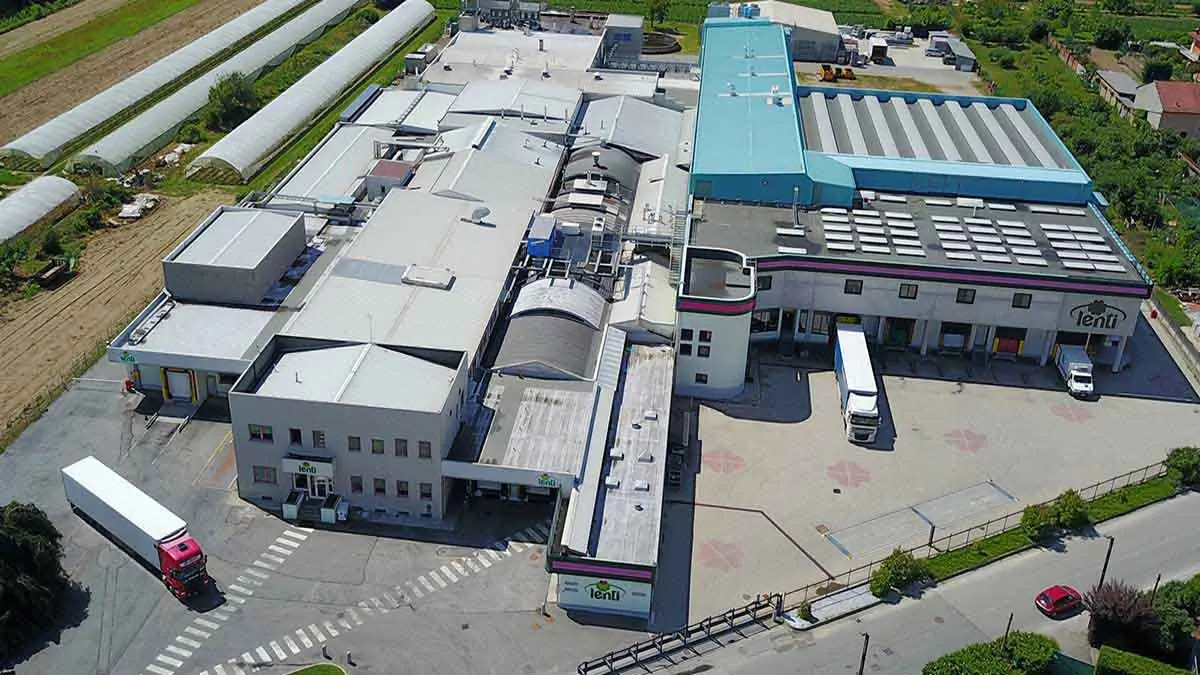 Zampone precooked 100% Italian pork meat traditional Modena recipe 1kg LENTI for wholesalers, retail, hotel and restaurants