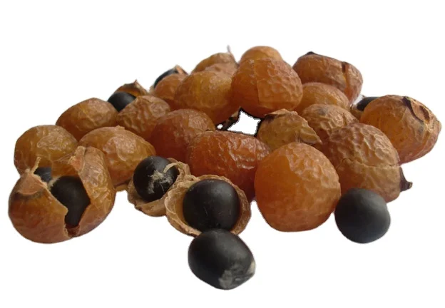  Ракушки из мыльных орехов ракушки ягод. Ягоды мыла оптовая