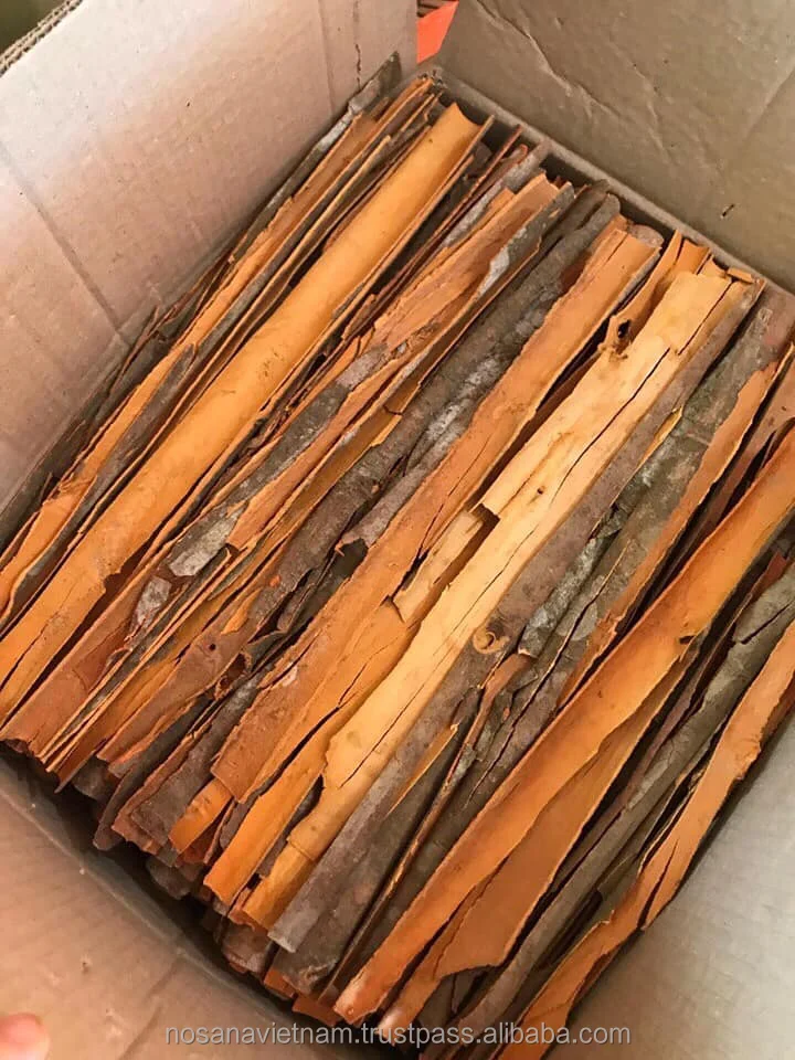High Grade Single Species Cinnamon Split Whole Sale Price Delicious Taste from Vietnam