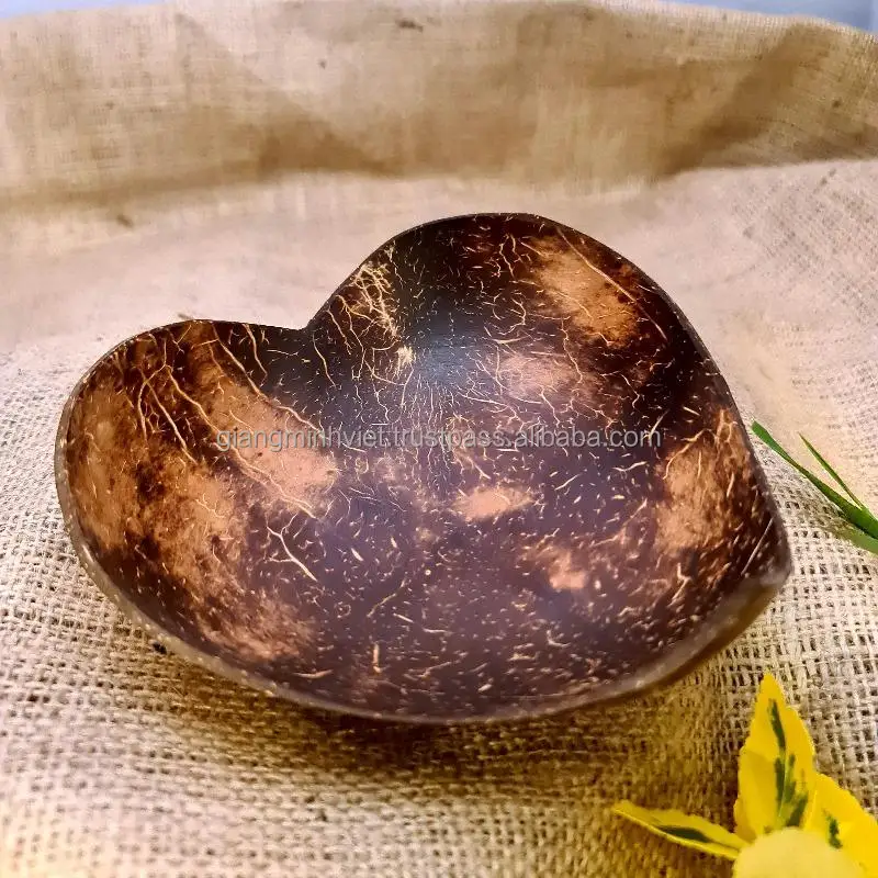 Vietnam GMV New Products Organic Plastic Free Hand Made Coconut Bowl