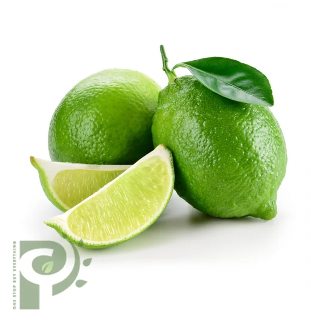 Hight Quality FRESH SEEDLESS / Fresh Seedless Watermelon Vietnam/ Fresh Seedless Vietnam Lime