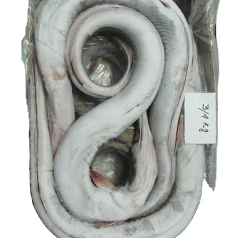SELL FROZEN EEL FISH SEAFOOD SUUPLY