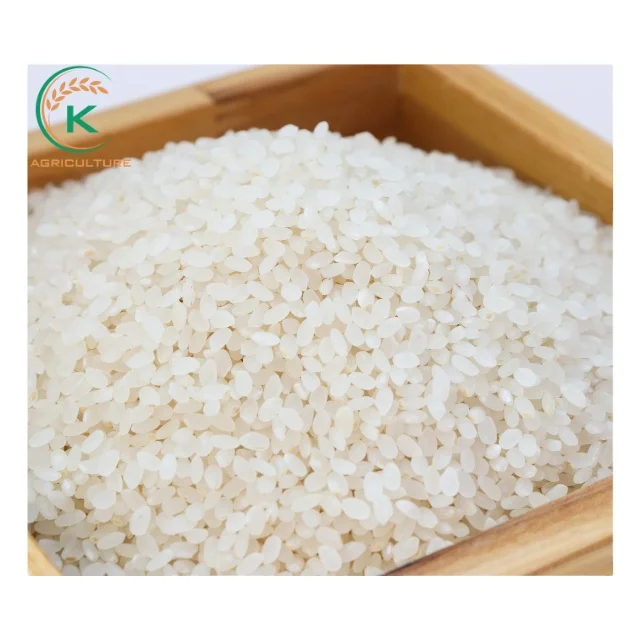 Specialty ST24 White Rice Vietnam Long Grain Rice from K-Agriculture Company  Whatsapp +855555794