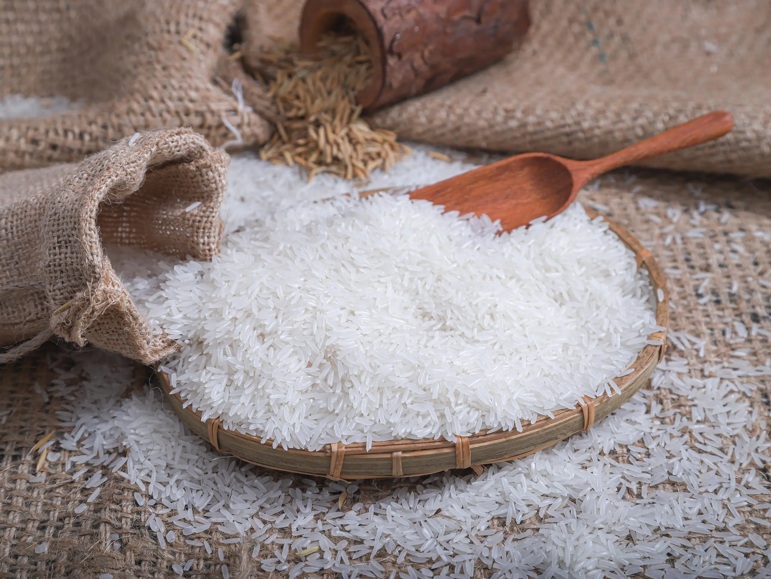 Wholesale High quality Vietnamese Rice ST24 ST25 Jasmine rice Vietnam Japonica 100% Organic Best price