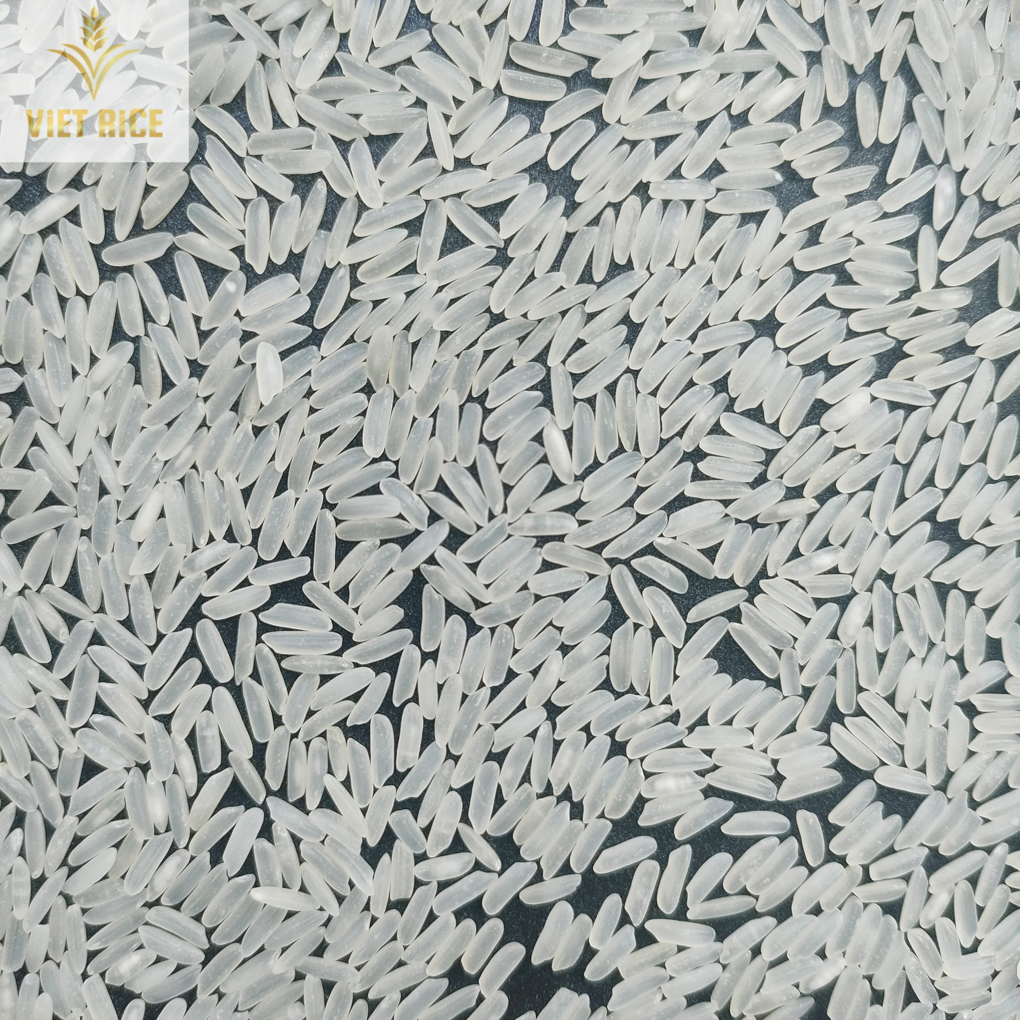 Excellent fragrant long-grain white rice (JASMINE RIZ 5% broken) from a well-known rice farmer and exporter in Vietnam(VIETRICE)