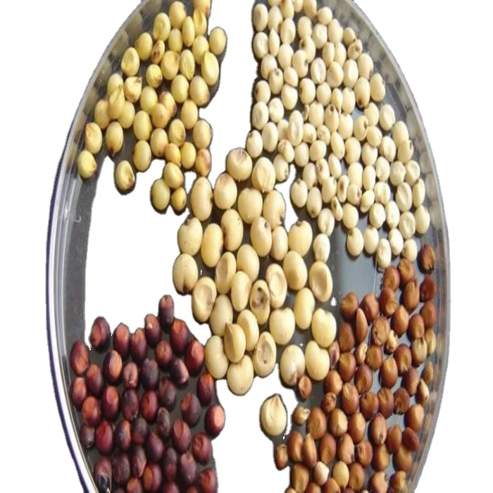 100% Pure Natural Premium Quality Factory Hot Sale Raw Fresh Dried Red And White Sorghum from Top Supplier