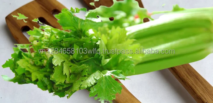 Set 2 - Acacia Wooden Spatula - Non-stick Cookware - ODM, OEM - Eco-friendly Kitchenware - Customized Accepted