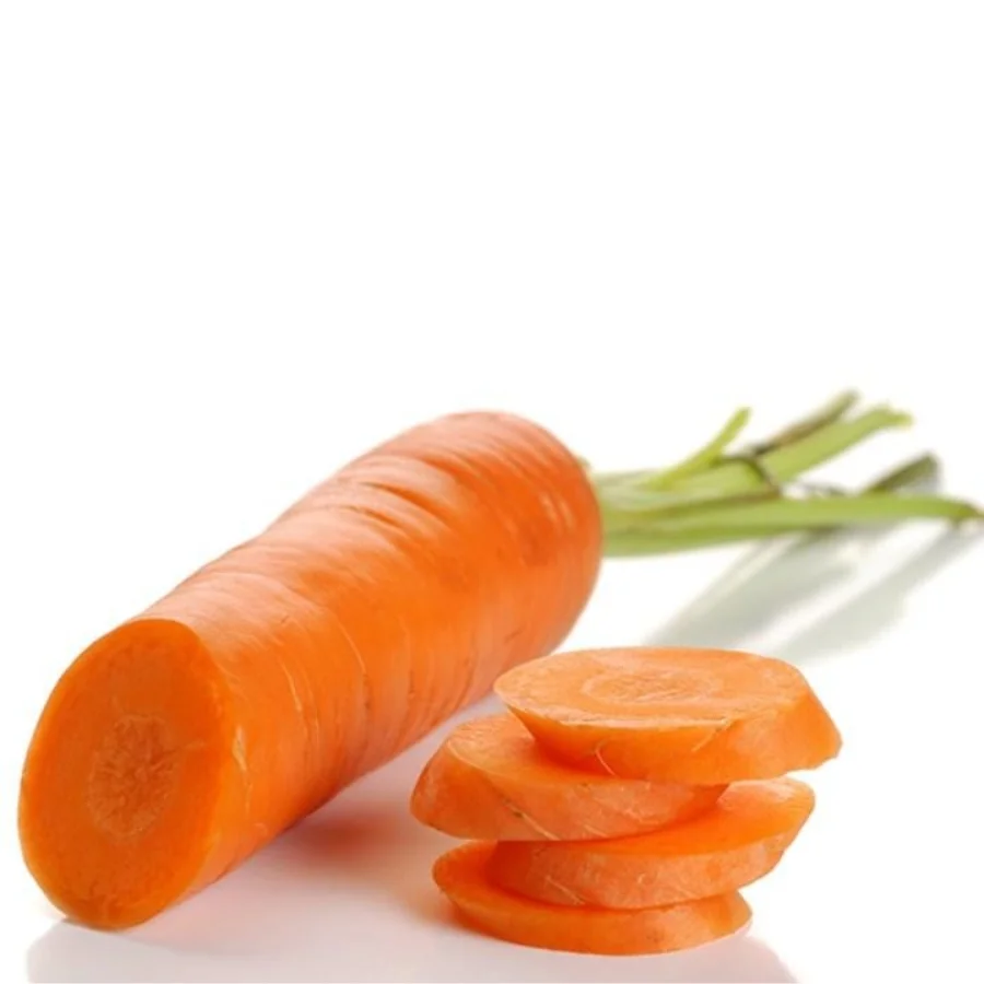[BIG SALE 2022] New Arrival High Quality Wholesale Fresh Carrots Viet Nam - Cheap Price Ready To Ship