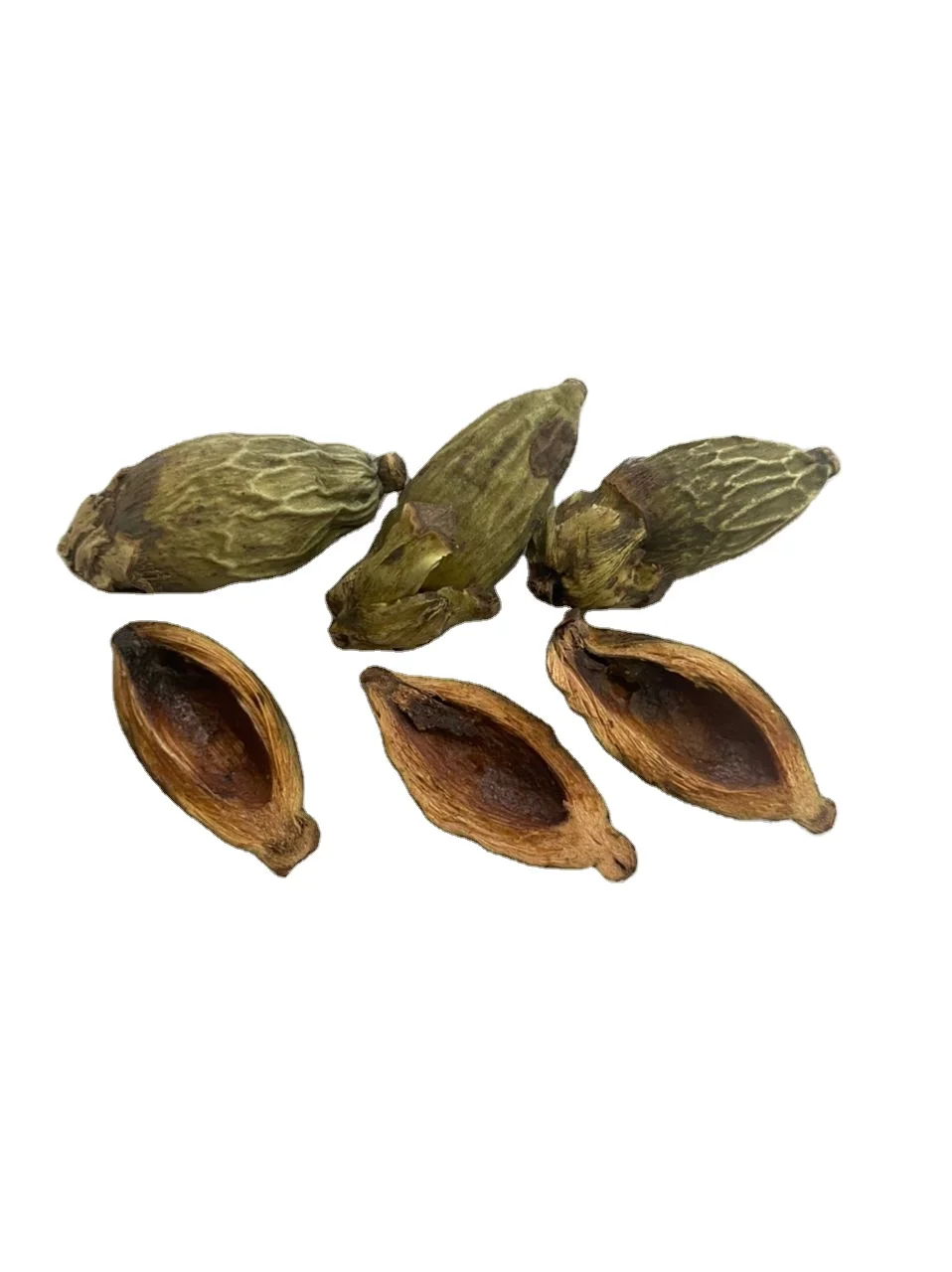 WhatsApp Image 2022-09-24 at 2.47.41 PM.jpeg