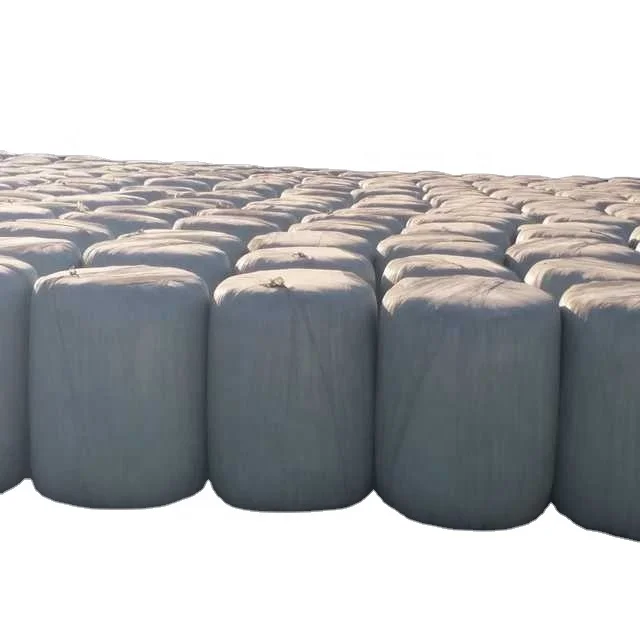High Quality Pakistani Soft and Clean Corn Silage for Sale in Bulk Quantity