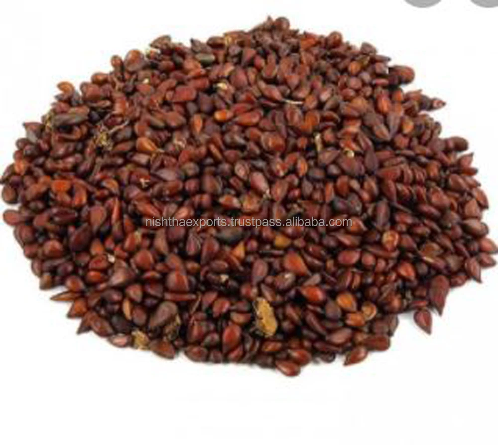 Cydonia Oblonga Quince Seed Beedana Pyrus Cydonia Bidana Bahee Dana Behidana Dried Raw Herbs Plant Extract Herbal Product