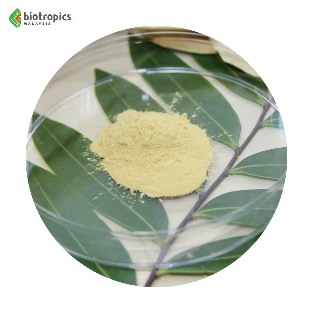 New High Quality Malaysia Plant Extract Tongkat Ali PG5 100% Roots for Energy, Muscle Building, Stamina