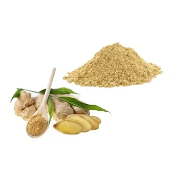 Factory Price Fresh Dehydrated Vegetable  Ginger Extract Powder Food / Drink Grade Raw Material Organic Ginger Juice Powder