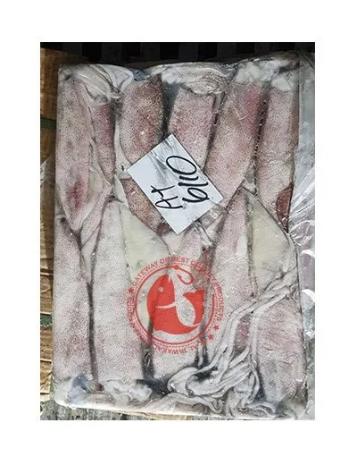 Frozen Whole Loligo Squid For Export in Bulk Quantity High Quality Frozen Loligo Squid Available in Multiple Sizes