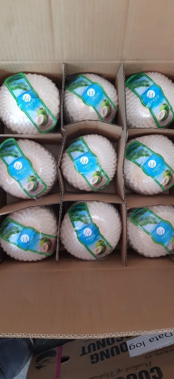 Оптовая продажа, свежие кокосы, вьетнамский кокосовый бриллиант, Кокосовая упаковка, хорошая цена