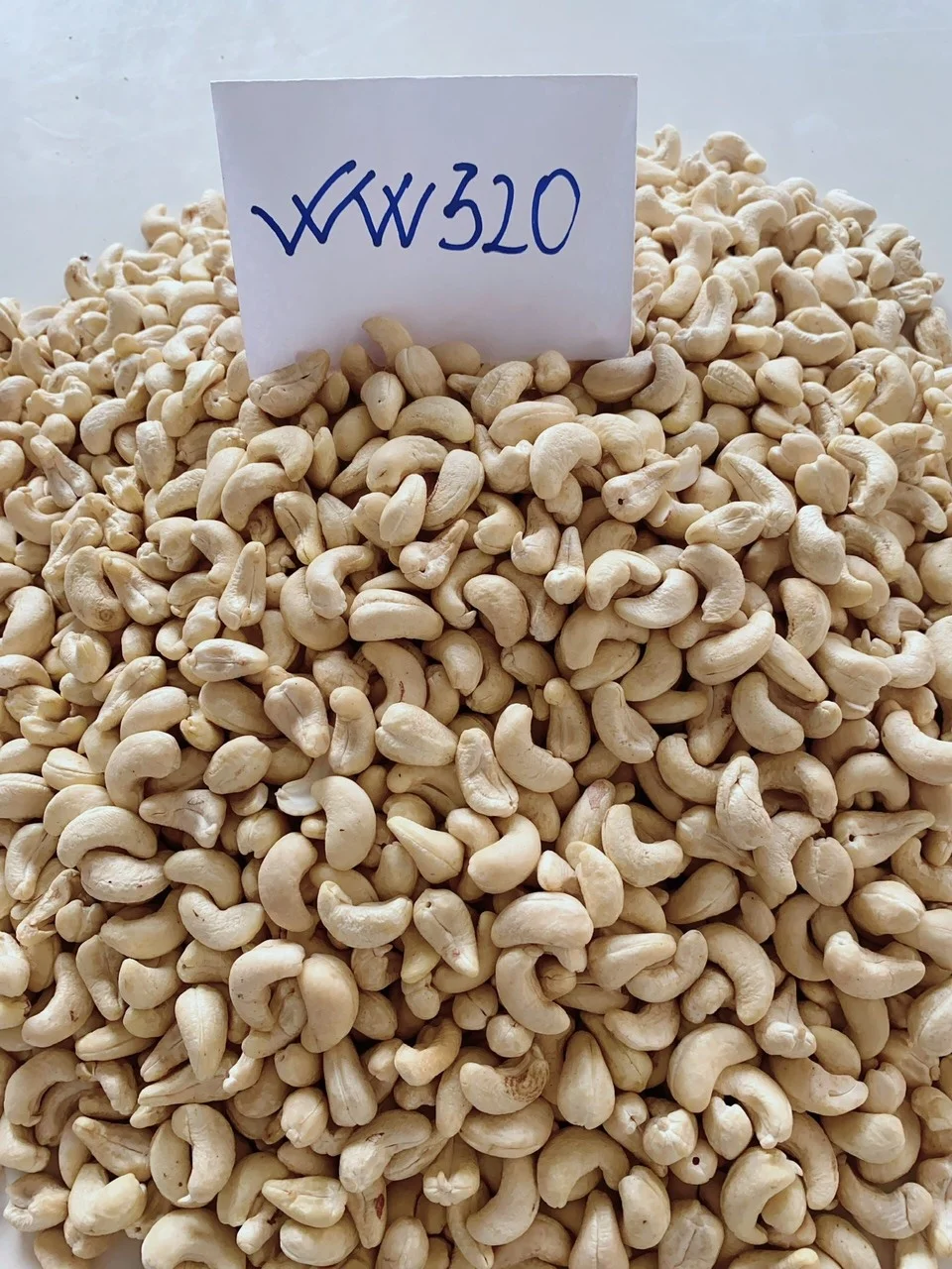 Vietnam ISO/HACCP Certification W320 Raw Cashews bulk supply Quality cashew nuts