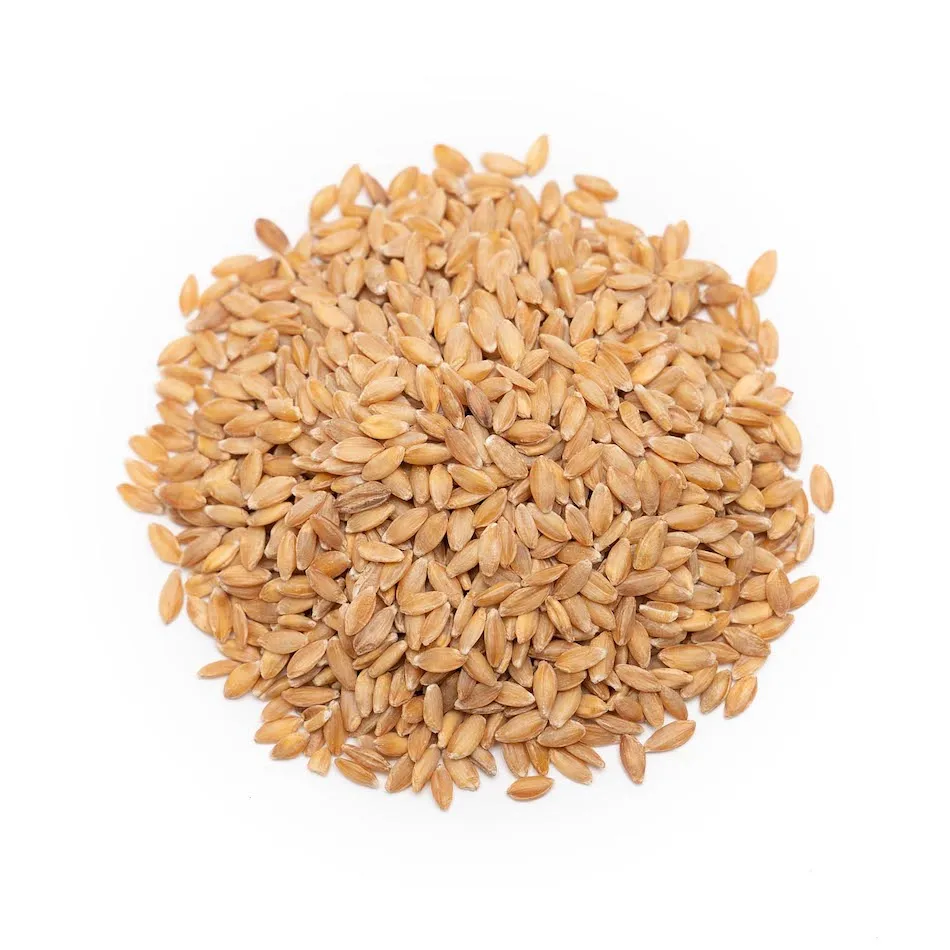 wheat grains 2.jpeg