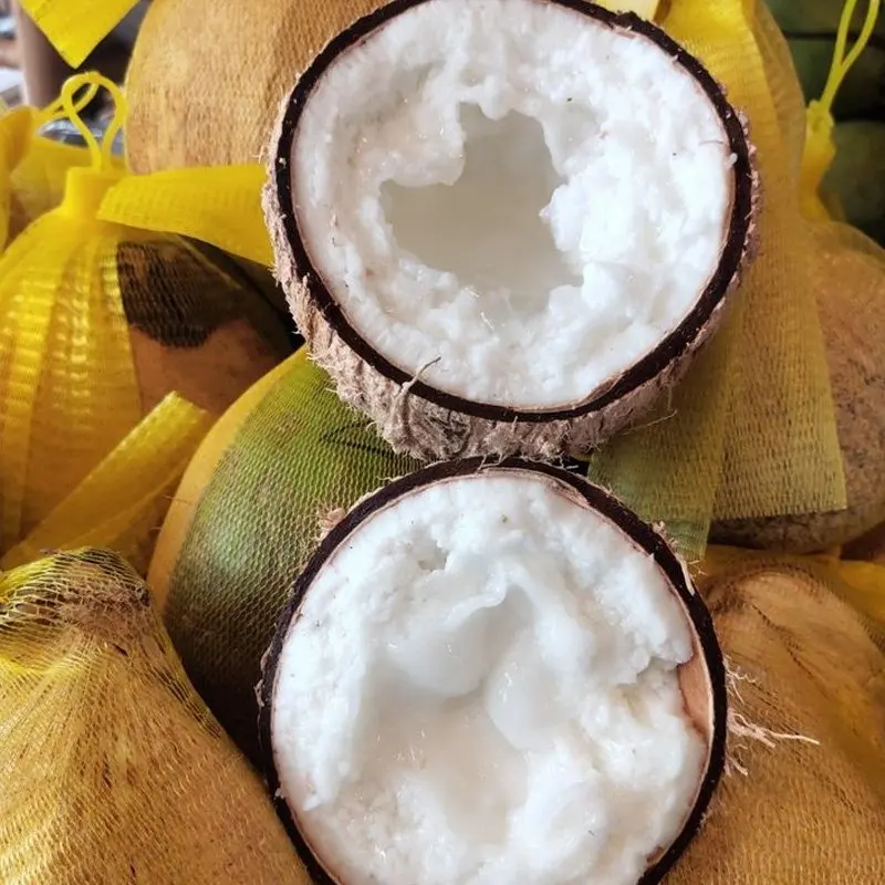 PURE HIGH QUALITY FRESH COCONUT MACAPUNO COCONUT ORGANIC MACAPUNO FRESH USE TO DESSERT