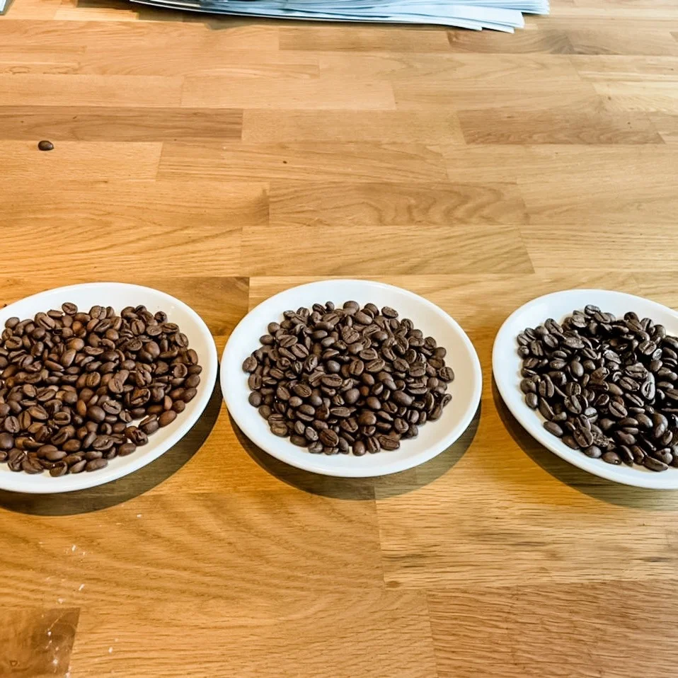 Roasted Arabica Medium S16 Processing Method Red Honey Balanced Tastes Single Origin Cau Dat Vietnam New Crop 2023-2024