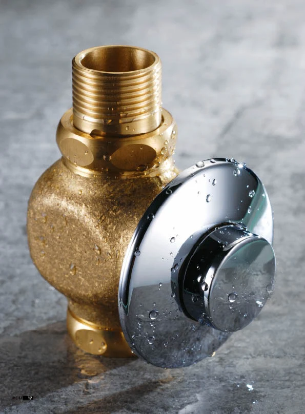 Flush Valve Concealed Manual Water Closet Flush Valve Push Button Toilet Flushing Valve