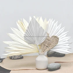 Decorative Dried Sun Dried Fan Palm Spear Sun Palm Leaves for Home Wedding Flower Decoration
