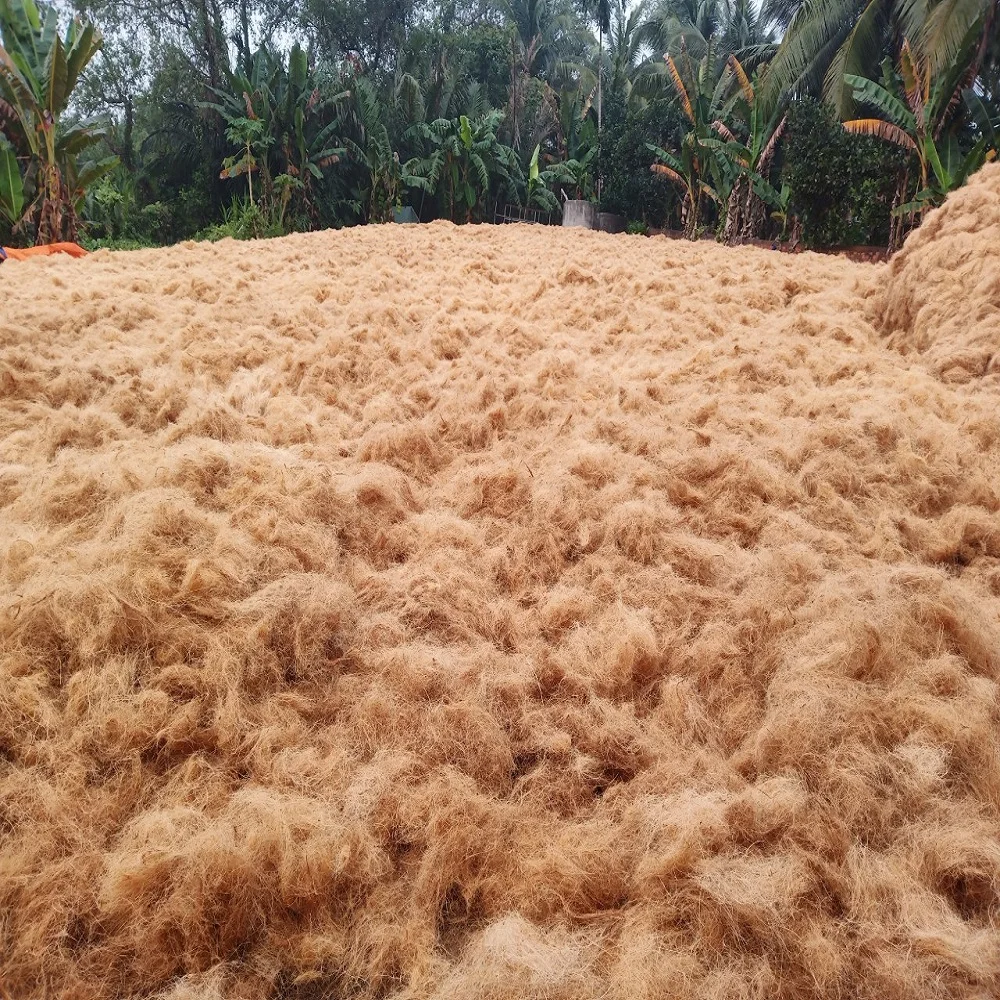 Wholesales Export Coconut Fiber To Shanghai 100% Natural for mattress production Best quality Brownish yellow made in Viet Nam