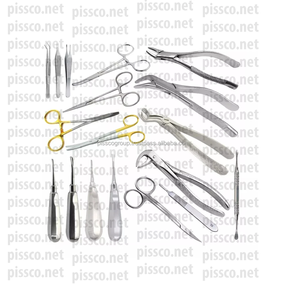 Dog Dental Extraction Kit