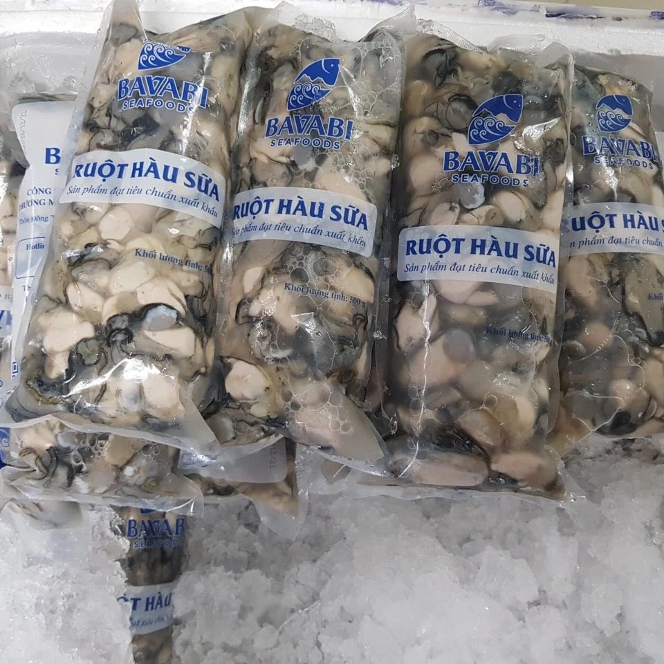 Best Item From Reputable Company In Viet Nam Offer Oyster At Low Price With ISO HACCP Certificate Premium Oyster Intestine