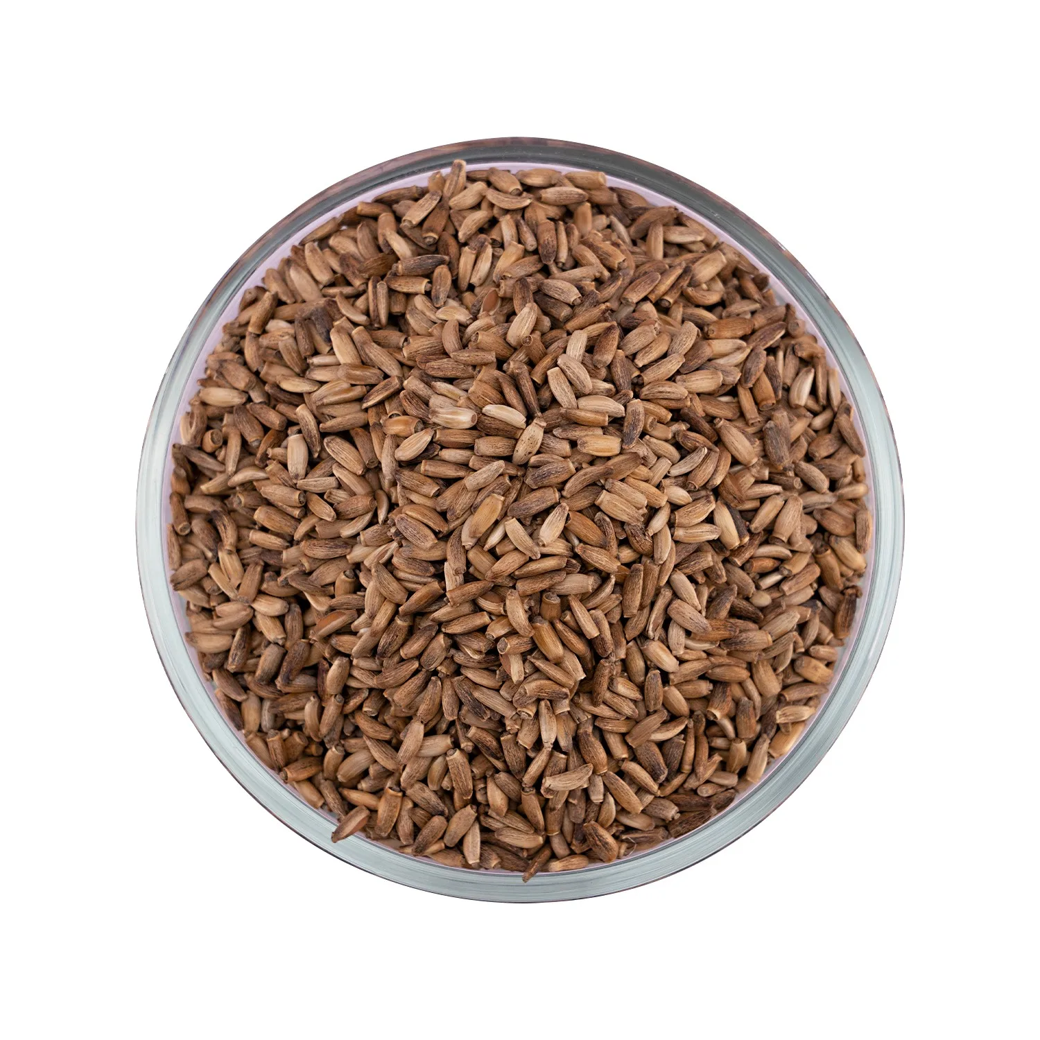 Hot Sale from Indian Exporter Milk Thistle Seeds Whole High Quality