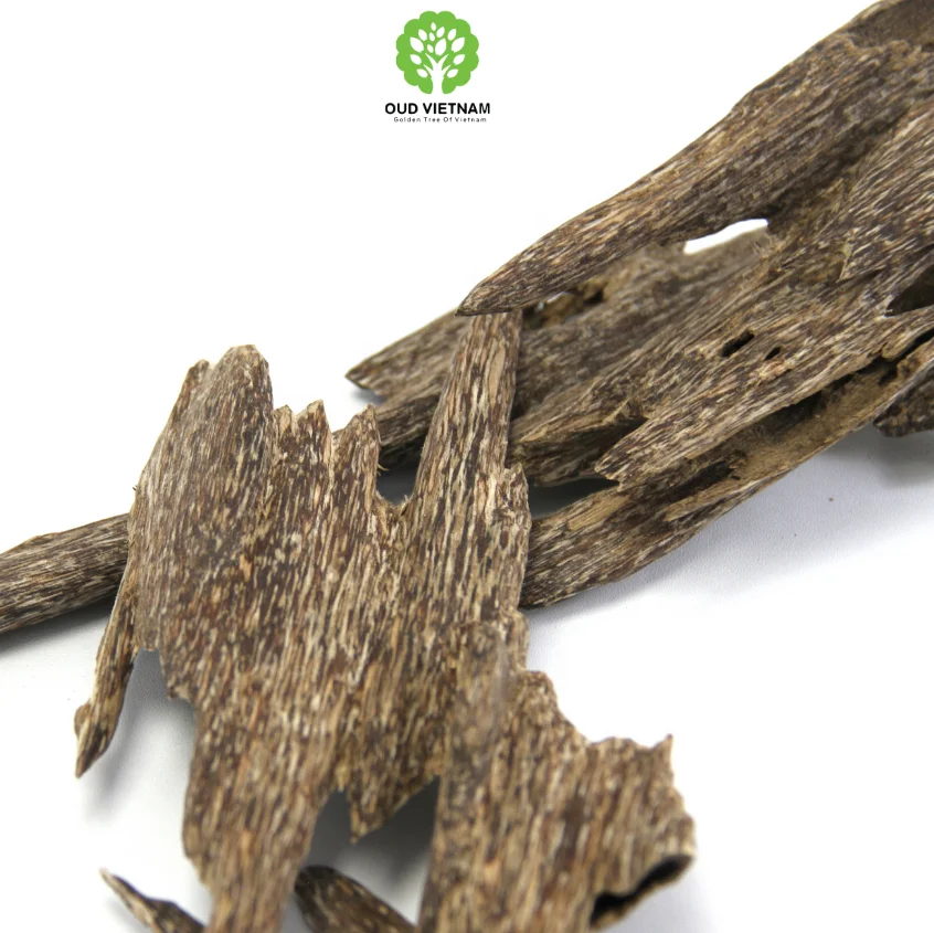 The Best Quality of Natural Premium Agar wood Chips Super Grade Precious Quality Ant Oudh Incense Fragrance Sweet Full Of Oil