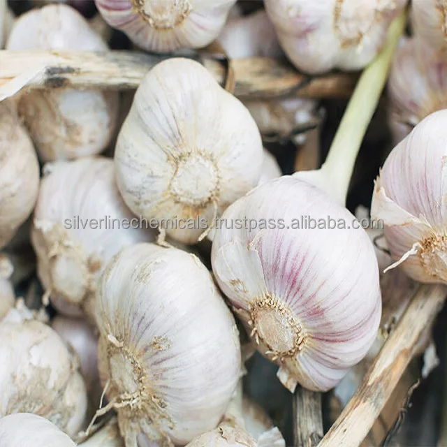GARLIC OLEORESIN 3%