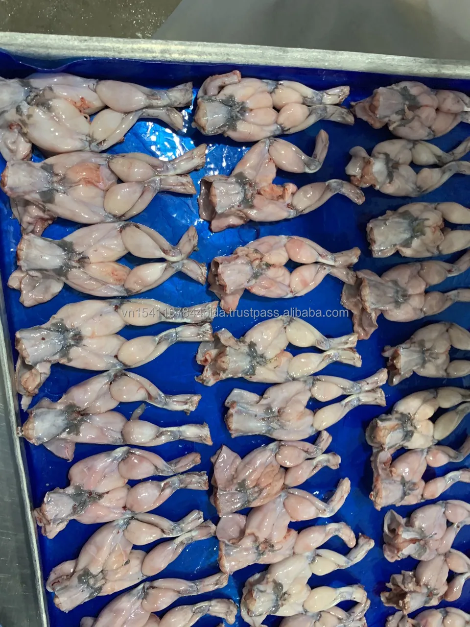  Замороженная еда для ног лягушки из Вьетнама