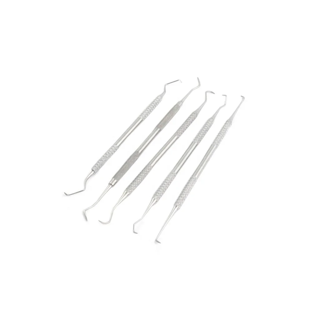 Feline Dental Kit Scaler & Probe Small Animal Dental Feline Small Dogs Cats dental mouth mirror probe