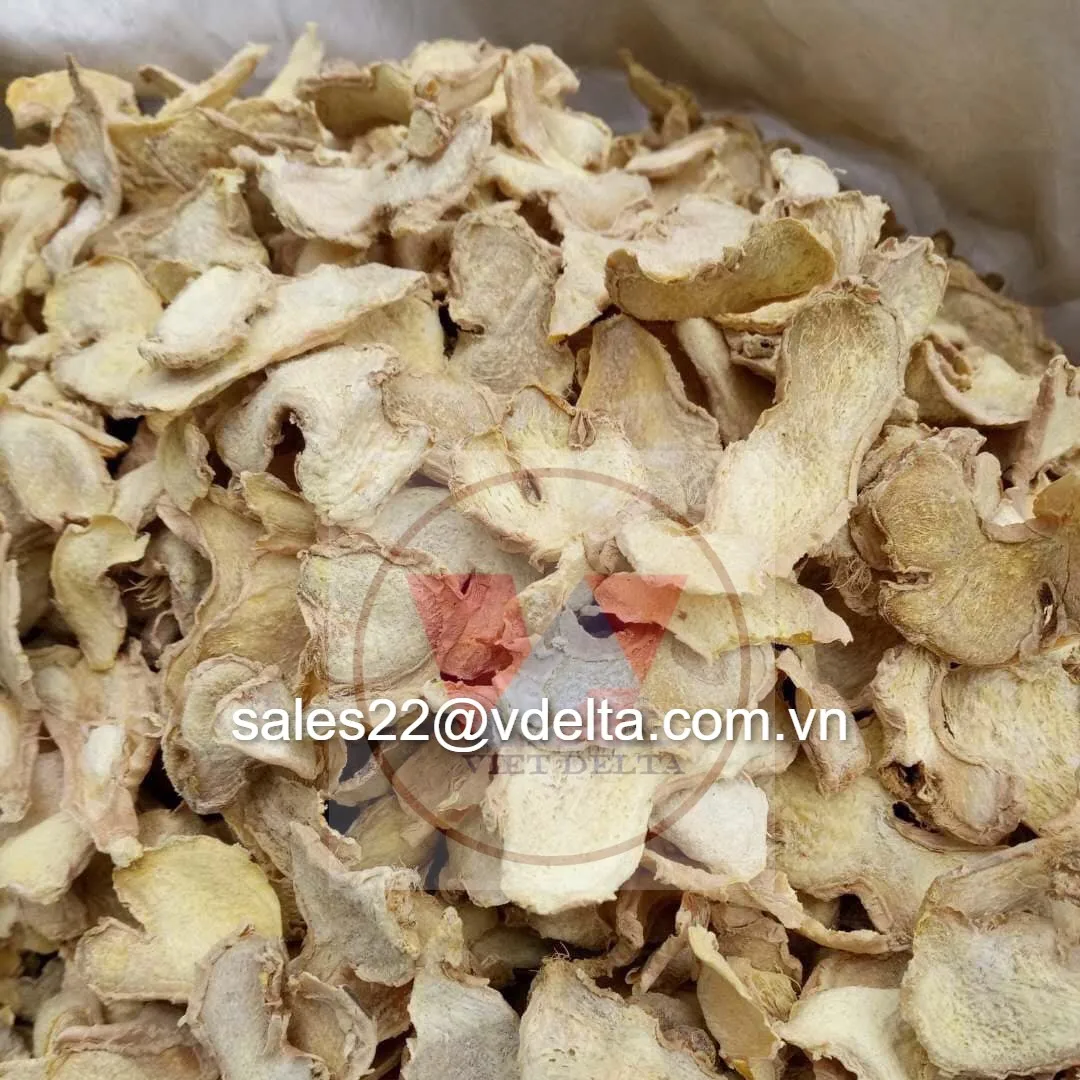 High Quality with Best Price - GINGER from Vietnam - Use Seasoning and spices