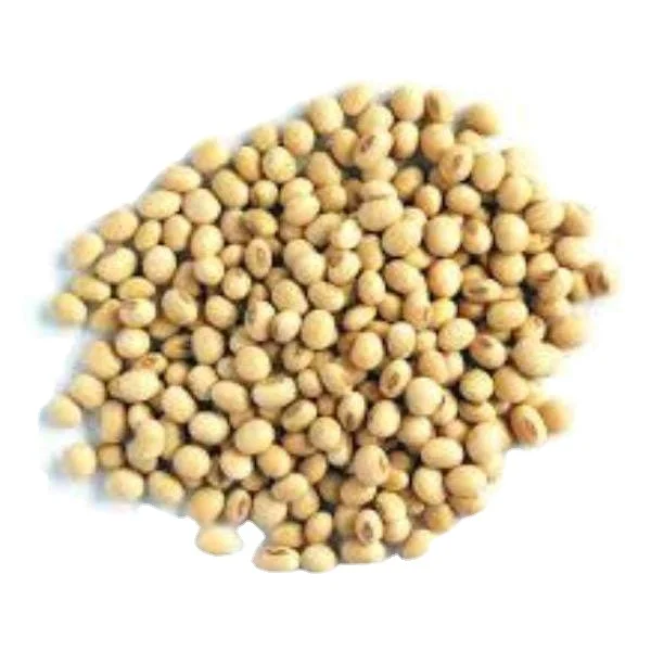 Wholesale Non Gmo Soybeans / Soya Beans, Soy Bean and Soya Bean for export / High crude protein gmo soybeans for export