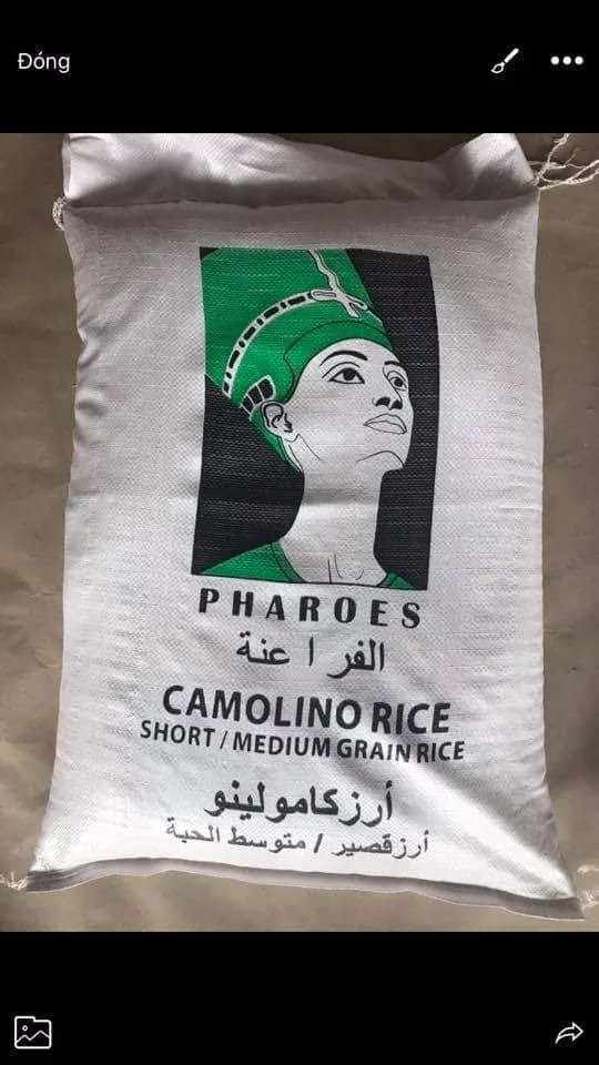 BEST SELLING CAMOLINO MEDIUM-GRAIN RICE FROM VIETNAMESE SUPPLIER- ANNA DO W/A+84982153058