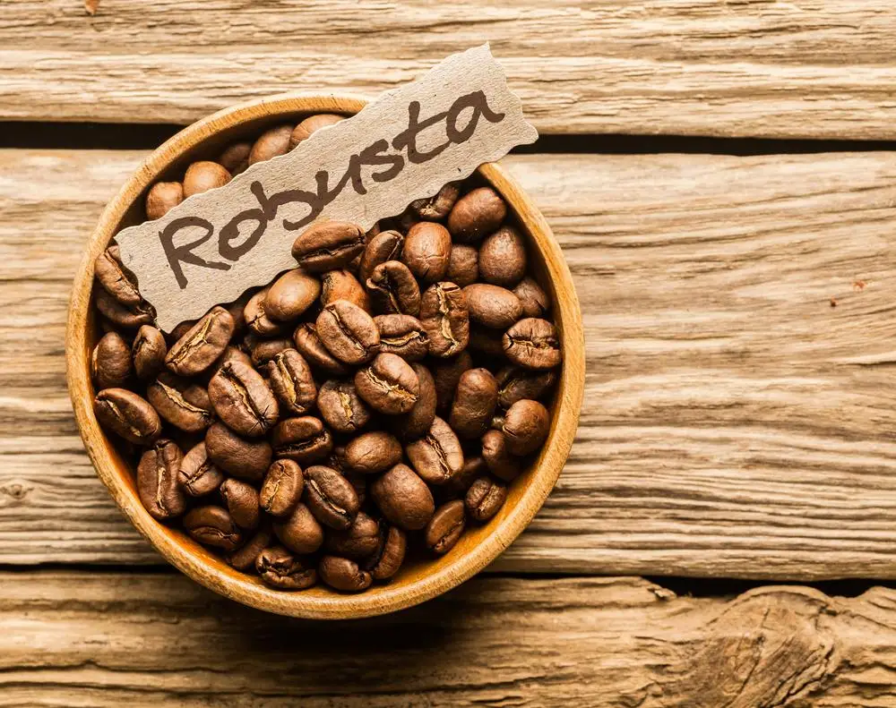 Оптовая продажа сухие высококачественные кофейные зерна Сыпучие Robusta Vienam лучший кофе для напитков готовый